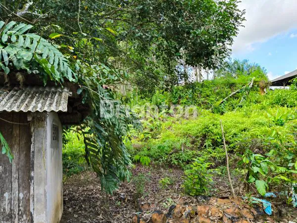 image TANAH DIJUAL RING 3 (3)