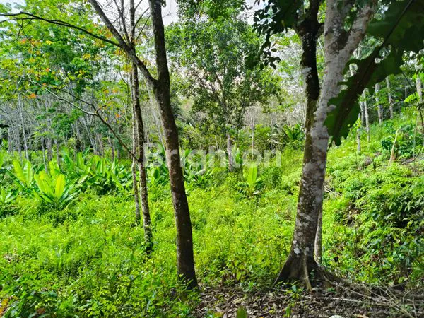 image TANAH DIJUAL RING 3 (6)