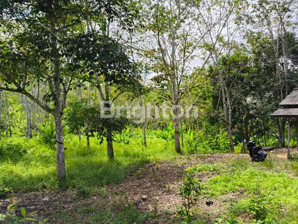 image TANAH DIJUAL RING 3 (4)