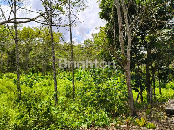 image TANAH DIJUAL RING 3 (7)