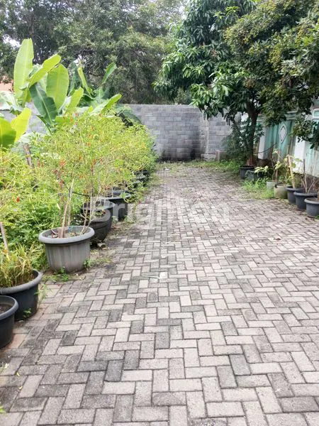 image RUMAH UNTUK TEMPAT TINGGAL DAN KOS\\\"AN TEMBALANG (8)