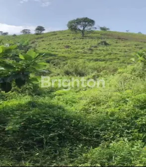 image JUAL HARGA BUTUH UANG (BU) DI BAWAH HARGA PASAR LUAS TANAH 100 HEKTAR ATAU 1.000.000 METER DAERAH DESA TANGKIL KEC. CITEREUP BOGOR ADA 38 SERTIFIKAT (HGB DAN SHM) SURAT LENGKAP DAN JELAS POSISI BELAKANG PERMATA SENTUL GOLF CLUB (2)