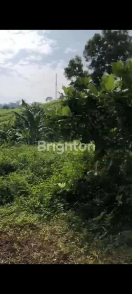 image JUAL HARGA BUTUH UANG (BU) DI BAWAH HARGA PASAR LUAS TANAH 100 HEKTAR ATAU 1.000.000 METER DAERAH DESA TANGKIL KEC. CITEREUP BOGOR ADA 38 SERTIFIKAT (HGB DAN SHM) SURAT LENGKAP DAN JELAS POSISI BELAKANG PERMATA SENTUL GOLF CLUB (3)