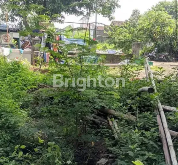 image TANAH KAPLING AREA SUMBER (3)