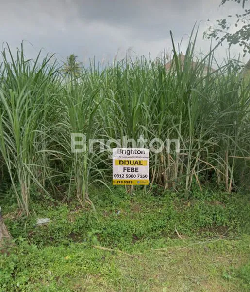 image TANAH DI PAKIS MALANG (2)