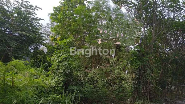 Gambar Property KONTRAK TANAH DI SEKAR SARI KESIMAN PEMANDANGAN INDAH DAN ASRI