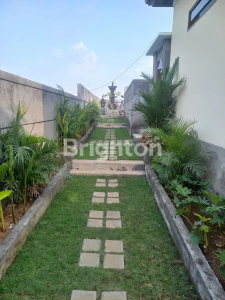 image VILLA BARU PEMANDANGAN SAWAH DI CANGGU BADUNG BALI (2)