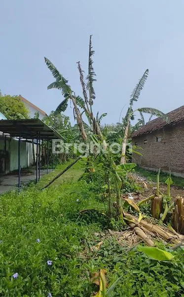 image TANAH MADIUN DEKAT SUNCITY MALL, SMPN 8, LAPANGAN REJOMULYO, LAPANGAN PILANG BANGO, KANTOR KELURAHAN PILANGBANGO, PASAR JOYO, SPBU JOYO, SPBU REJOMULYO (2)