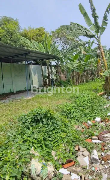 image TANAH MADIUN DEKAT SUNCITY MALL, SMPN 8, LAPANGAN REJOMULYO, LAPANGAN PILANG BANGO, KANTOR KELURAHAN PILANGBANGO, PASAR JOYO, SPBU JOYO, SPBU REJOMULYO (4)