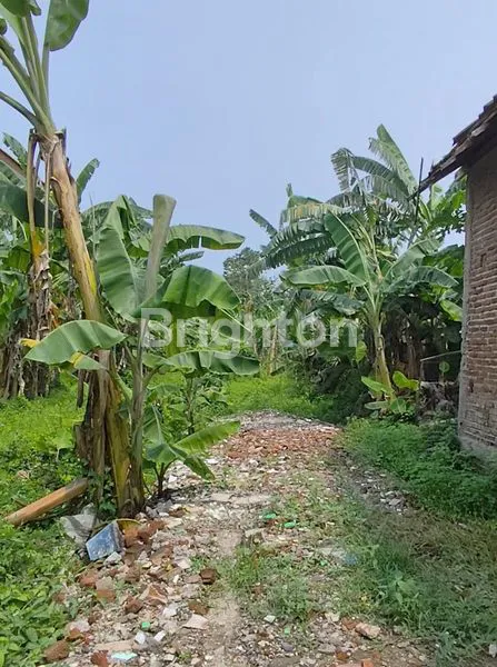 image TANAH MADIUN DEKAT SUNCITY MALL, SMPN 8, LAPANGAN REJOMULYO, LAPANGAN PILANG BANGO, KANTOR KELURAHAN PILANGBANGO, PASAR JOYO, SPBU JOYO, SPBU REJOMULYO (5)