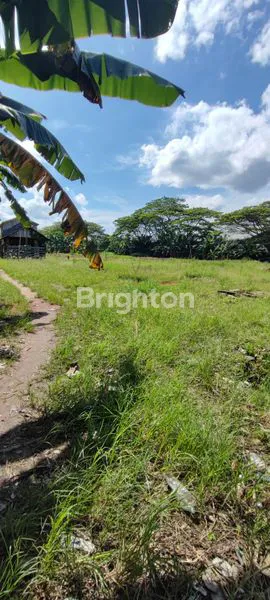 image LAHAN STRATEGIS DI PINGGIR SUNGAI (7)