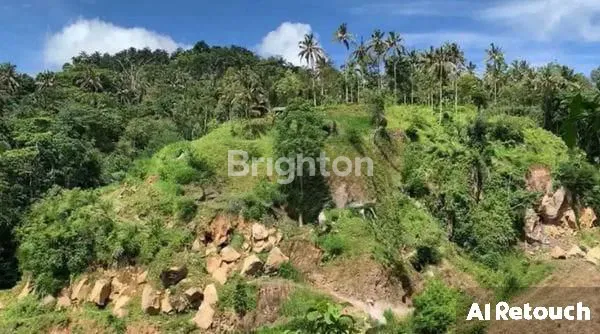 image TANAH 12,4 ARE DENGAN PEMANDANGAN LANGKA POSISI TANAH  BERADA DI ATAS BUKIT  (2)