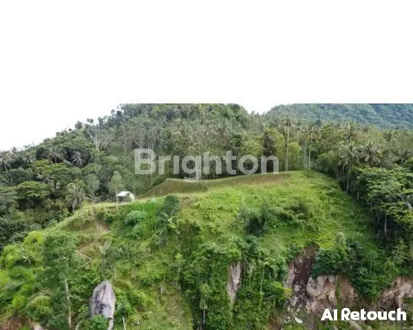 image TANAH 12,4 ARE DENGAN PEMANDANGAN LANGKA POSISI TANAH  BERADA DI ATAS BUKIT  (6)