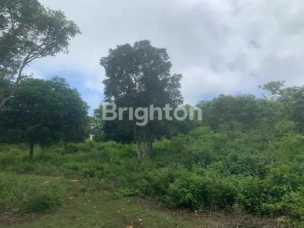 image 1,97 HEKTAR UNBLOCK VIEW LAND IN JIMBARAN PRIME LOCATION (2)