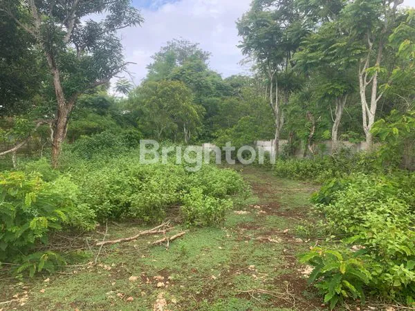 image 1,97 HEKTAR UNBLOCK VIEW LAND IN JIMBARAN PRIME LOCATION (6)
