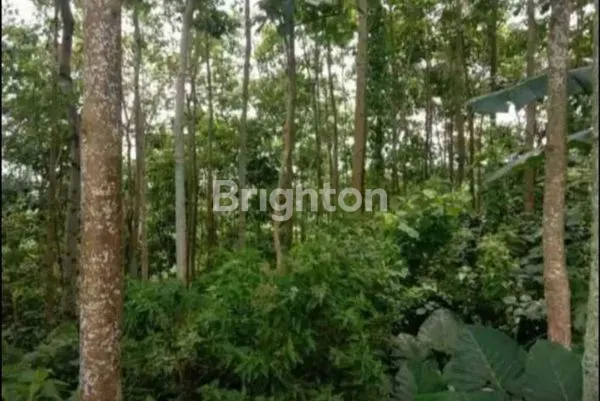 image TANAH DATAR JATINANGOR VIEW PEGUNUNGAN UNTUK CLUSTER (6)