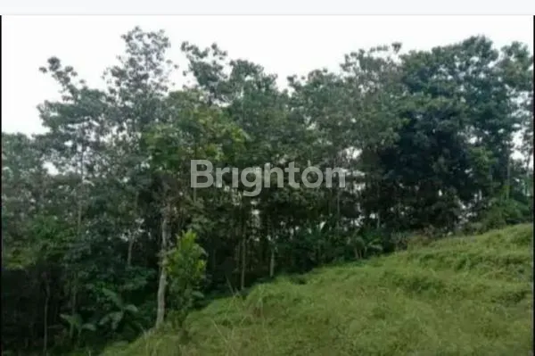 image TANAH DATAR JATINANGOR VIEW PEGUNUNGAN UNTUK CLUSTER (2)