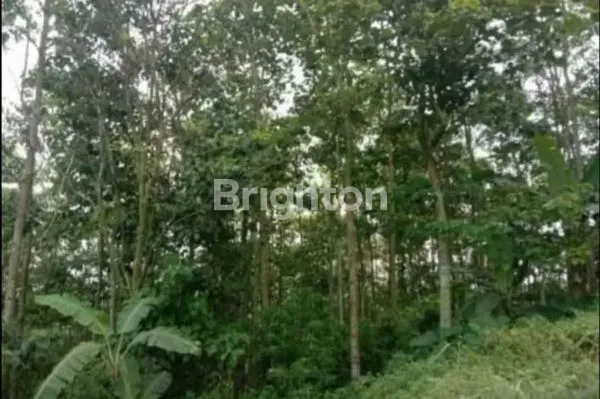 image TANAH DATAR JATINANGOR VIEW PEGUNUNGAN UNTUK CLUSTER (4)