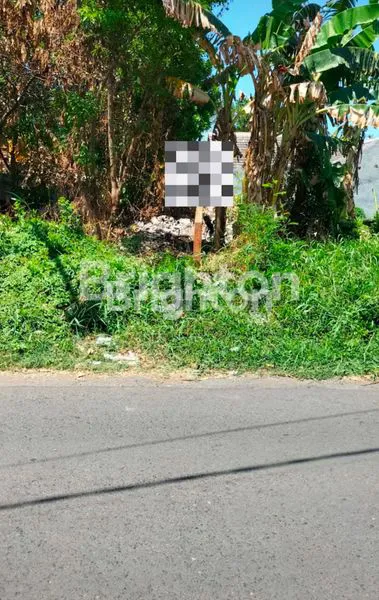 image TANAH KAVLING PASURUAN (1)