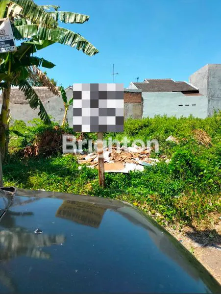 image TANAH KAVLING PASURUAN (2)