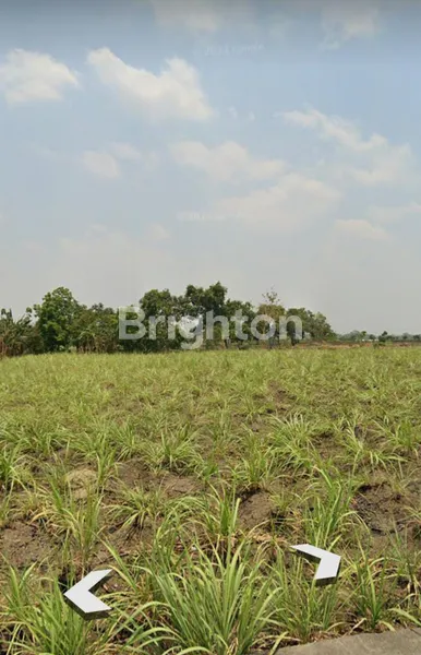 TANAH ZONE INDUSTRI DI DAWAR BLANDONG MOJOKERTO