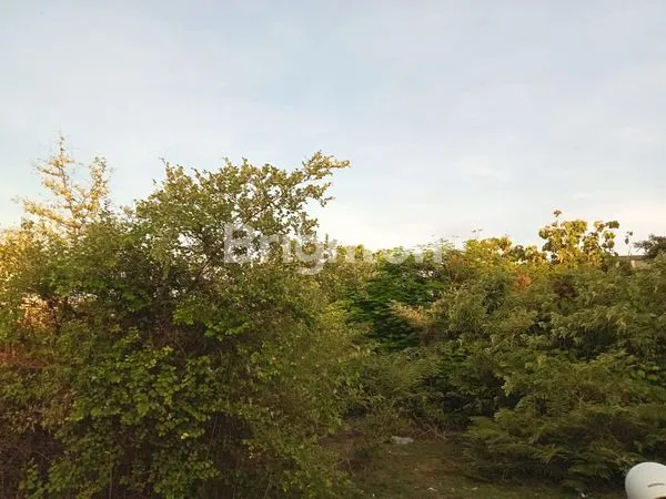 image TANAH MURAH ADA VIEW LAUT DAN GWK DI NUSADUA (6)