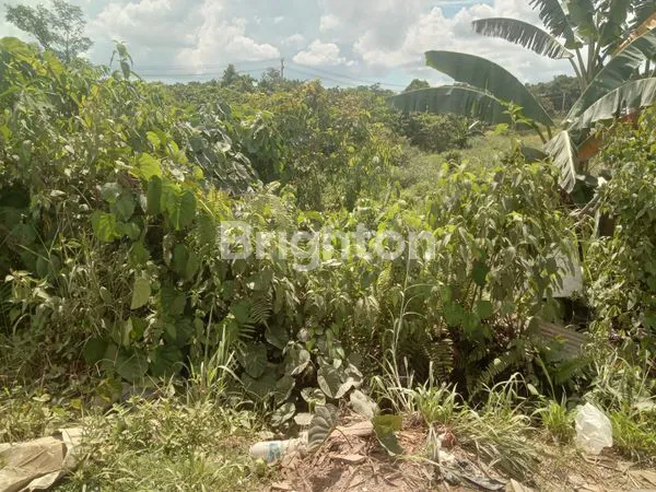 image TANAH DIJUAL PINGGIR JALAN RAYA  PULAU BALANG  (2)