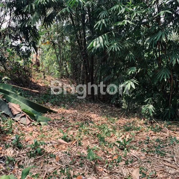 image GUBUG AYEM TENTREM DESA PASIR PUTIH SAWANGAN (4)