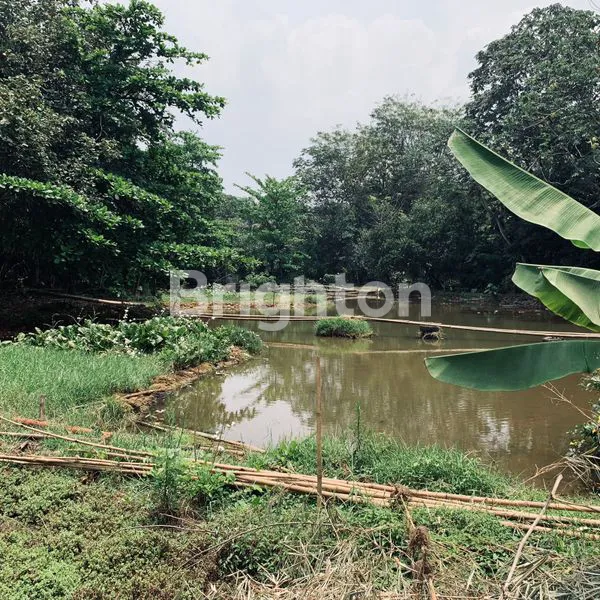 image GUBUG AYEM TENTREM DESA PASIR PUTIH SAWANGAN (5)