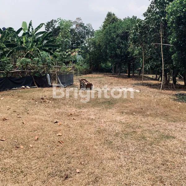 image GUBUG AYEM TENTREM DESA PASIR PUTIH SAWANGAN (6)