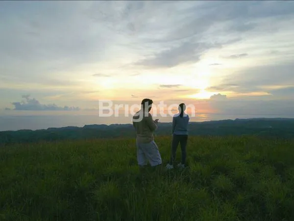 image TANAH TELETUBIES NUSA PENIDA (6)