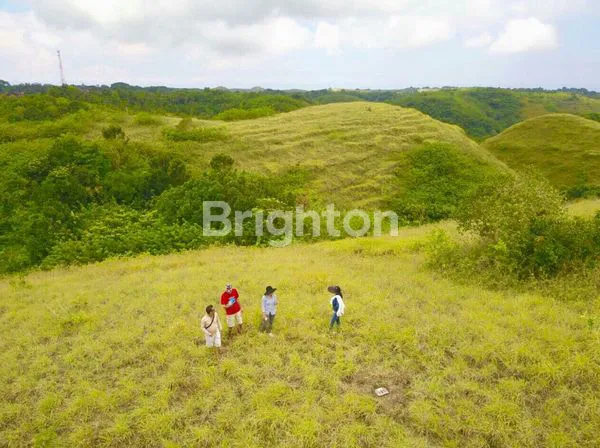 image TANAH TELETUBIES NUSA PENIDA (7)
