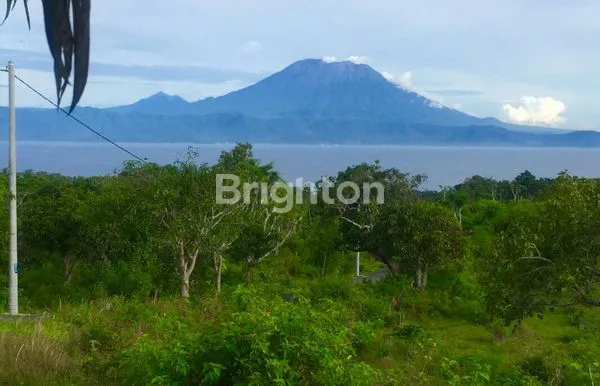 image TANAH VIEW LAUT (4)