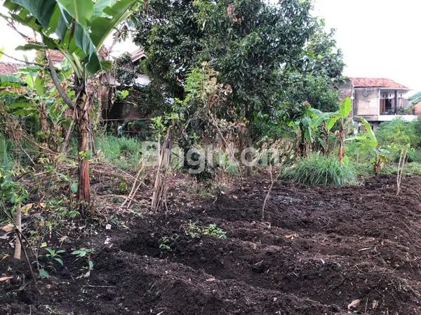 image KAVLING TANAH DAERAH CIPADUNG  (6)