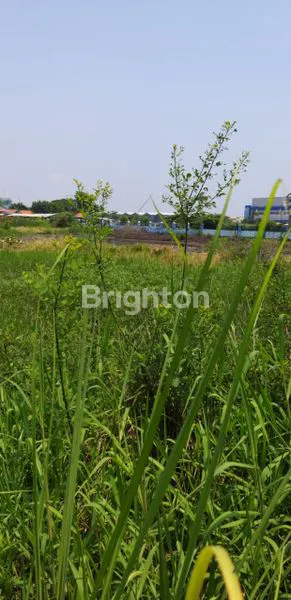 image JUAL TANAH LINGKAR TIMUR SIDOARJO (4)