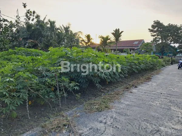 image TANAH MURAH SIAP BANGUN  BEBAS BANJIR (1)