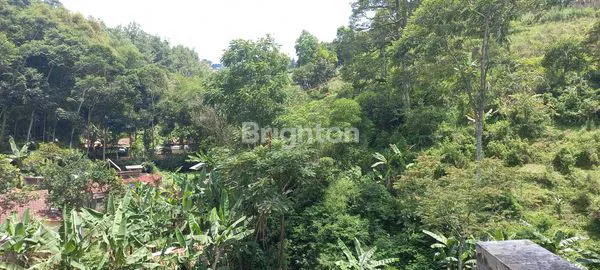 image LAHAN TANAH BONUS RUMAH DAGO BENGKOK (3)