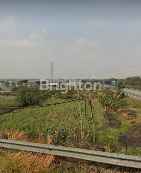 image DRIYOREJO TANAH INDUSTRI NOL JALAN RAYA SUDAH URUK DAN PADAT TOL SURABAYA MOJOKERTO (4)