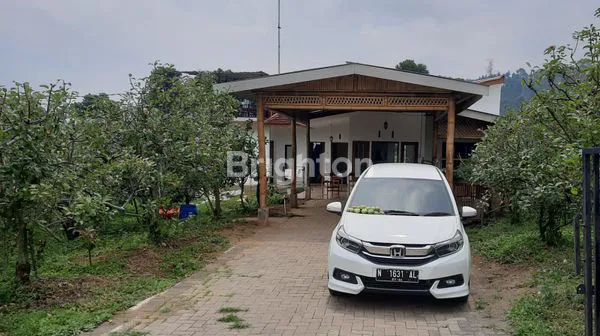 image VILLA PUJON BESERTA KEBUN ALPUKAT DAN APEL (1)