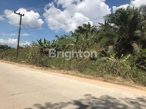 TANAH SELUAS 13720 M² DIPINGGIR JALAN NEGARA IKN