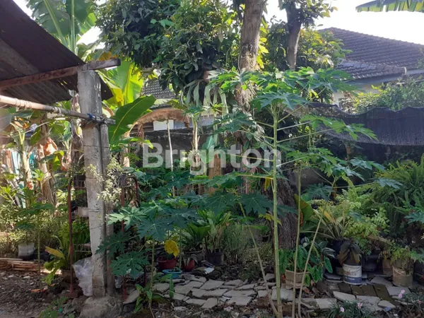 image DIJUAL RUMAH TULUS BAKTI MADIUN (4)