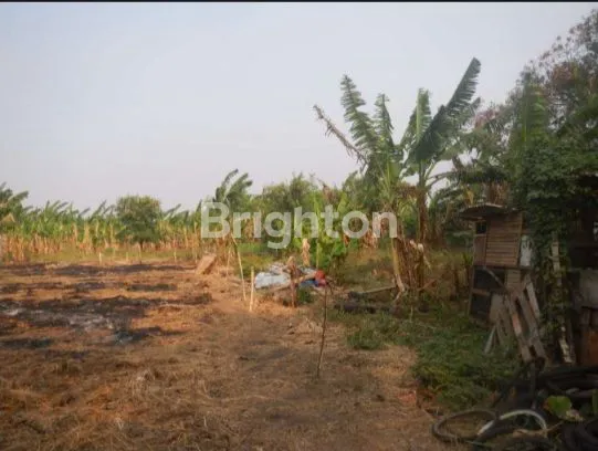 image KAVLING 1,6 HA MURAH DEKAT TOLL KAYU BESAR  (3)