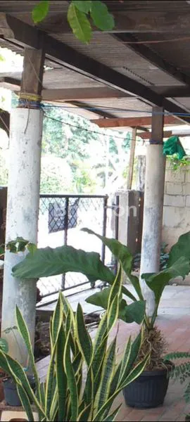 image RUMAH TUA KELAPA GADING TAK BANJIR (2)