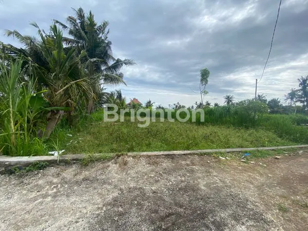 image TANAH MURAH AREA PERING SABA GIANYAR (2)
