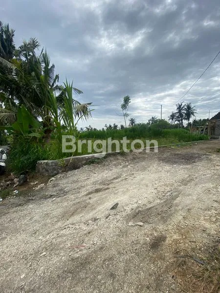 image TANAH MURAH AREA PERING SABA GIANYAR (1)