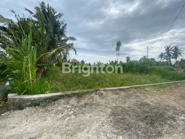 image TANAH MURAH AREA PERING SABA GIANYAR (3)