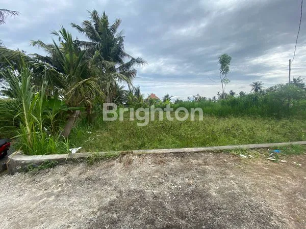 image TANAH MURAH AREA PERING SABA GIANYAR (5)