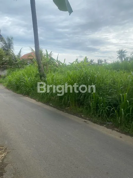 image TANAH MURAH AREA PERING SABA GIANYAR (6)