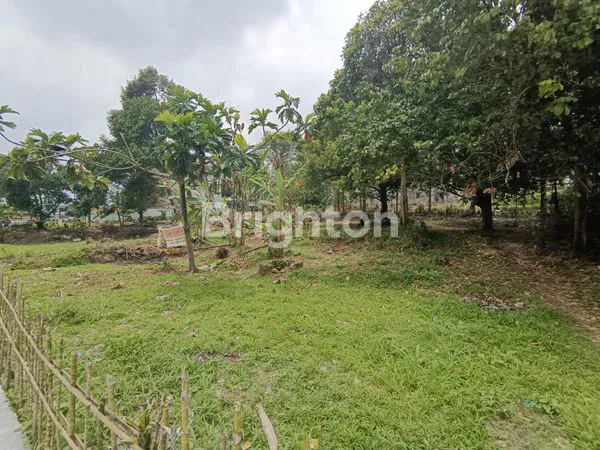 TANAH DARAT SHM LOKASI CIAPUS BOGOR COCOK UNTUK CLUSTER, 14 KM KE KOTA BOGOR, HARGA MURAH