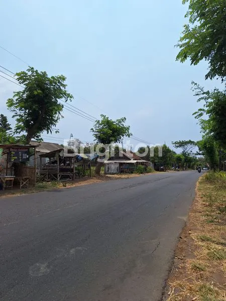 image TANAH INDUSTRI MURAH HARGA DI BAWAH PASARAN SEDIKIT URUG SIAP BANGUN COCOK UNTUK BANGUN GUDANG ATAU RUMAH DINAS DI JALAN RAYA DEKAT JL RAYA TRAWAS - MOJOSARI, MOJOKERTO (7)